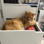 Стеллаж для одежды Мирта 37 BMS - Фото от клиента