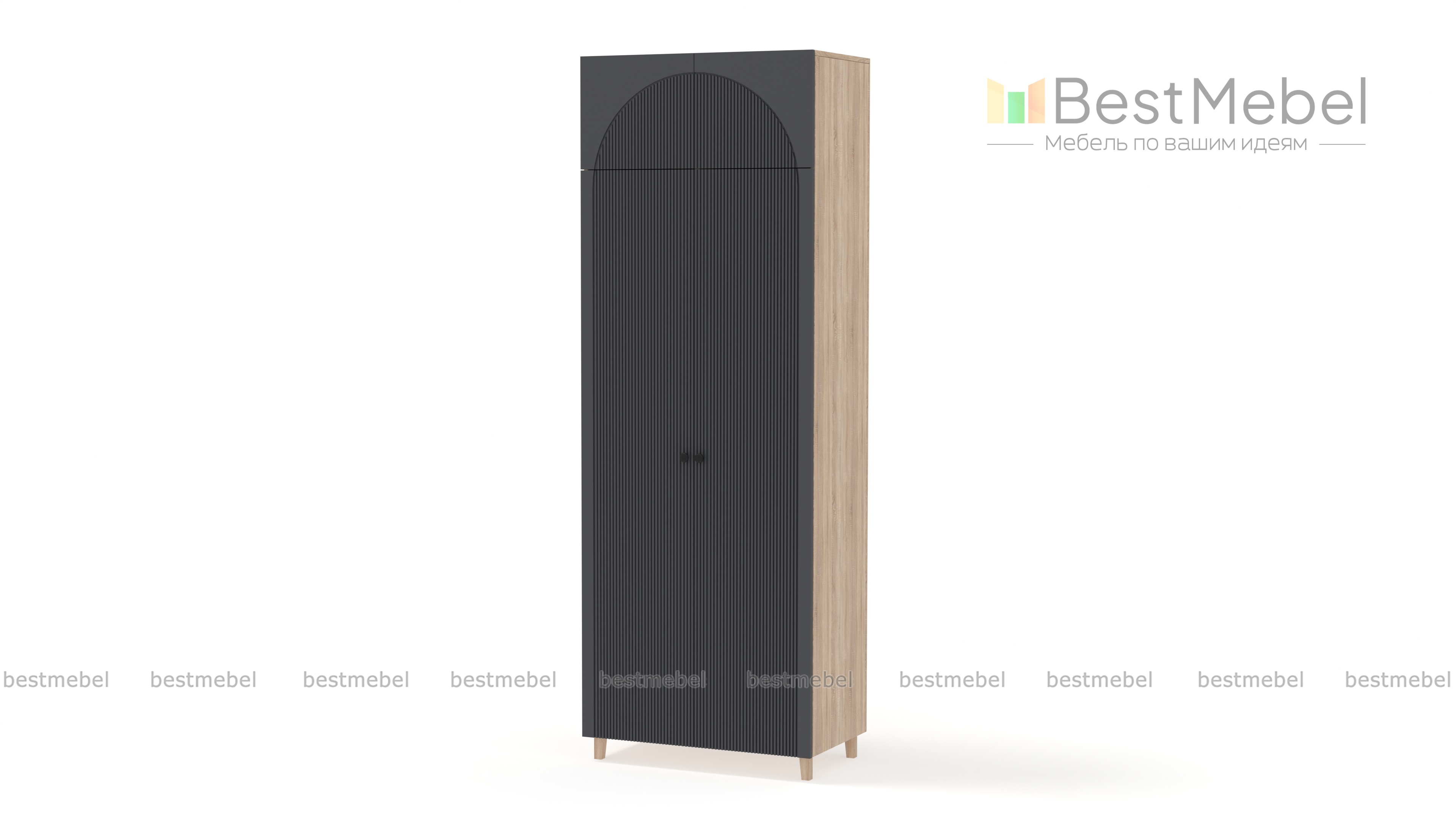 Шкаф распашной Вивьен 5 BMS